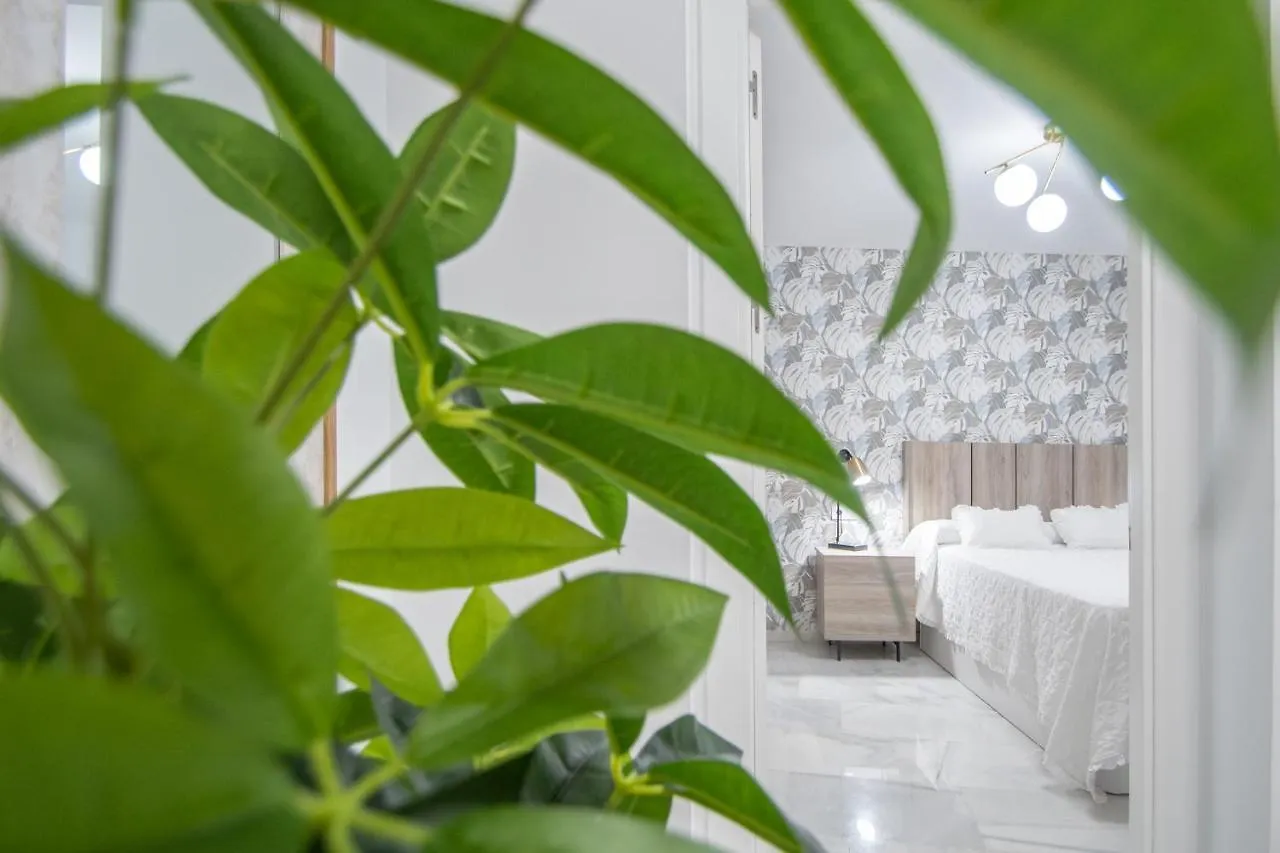 Apartamento La Magnolia de Cádiz 0*,  España